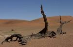 wuste-in-afrika Wüste
