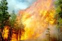 Waldbrand