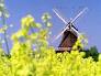 ca65m19e Sommer