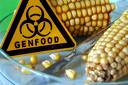 genfood Genfood