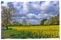 landschaft-wolke1 Natur
