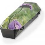 arcum_modell_feld Modell Arcum