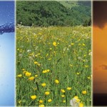 umwelt-1 Umwelt ?
