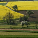 landwirtschaft Landwirtschaft