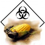 monsanto Monsanto
