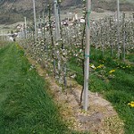roundup-einsatz Roundup Einsatz