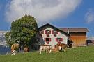 holzhaus Holzhaus
