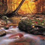 herbst-a Herbst