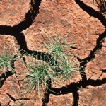 klimawandel-2 Klimawandel