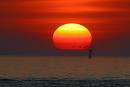 soone Sonne