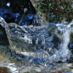 Wasser