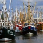fischen 1 Fischen
