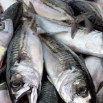 Fischfang