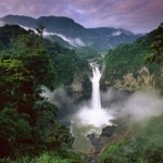 Yasuni