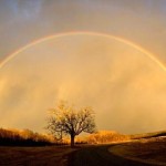 Regenbogen1