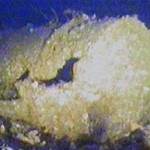Atommüllfässer1