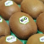 bio20